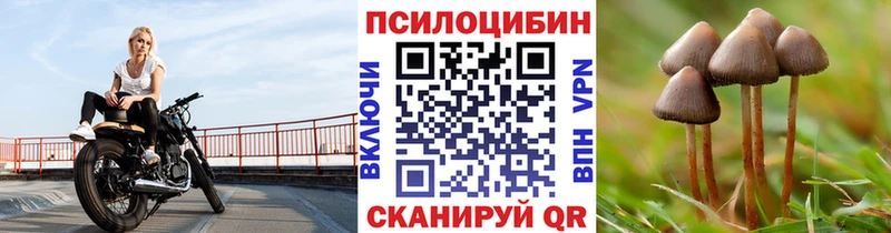 Галлюциногенные грибы Psilocybe Купить закладки Всеволожск